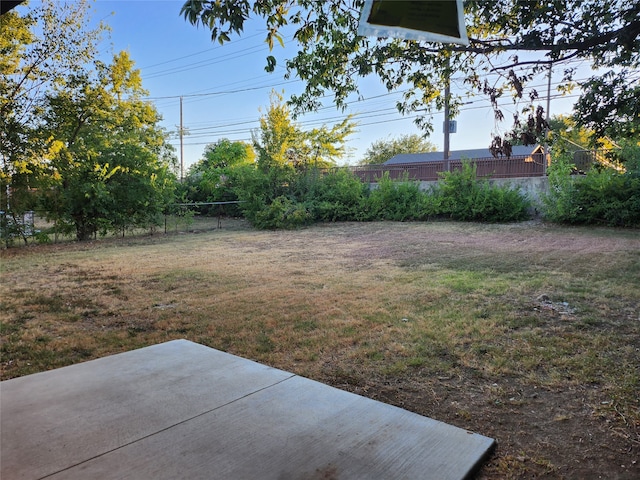 view of yard with a patio area