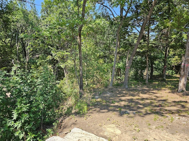 2314 Autumn Run Ct Unit 1441, Cedar Hill, TX 75104