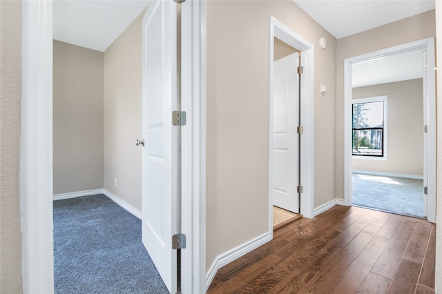 hall featuring dark hardwood / wood-style floors