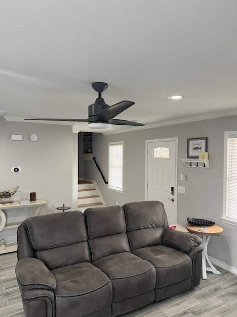 living room featuring light wood-type flooring, crown molding, and ceiling fan