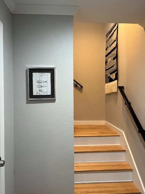 stairway with wood-type flooring