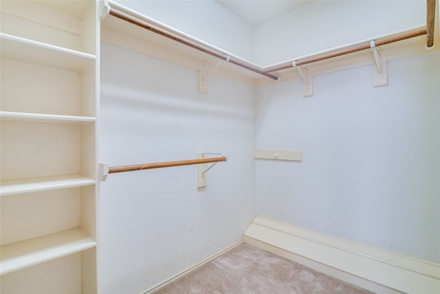 walk in closet with carpet floors