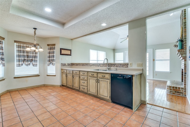 kitchen with dishwasher, sink, light hardwood / wood-style flooring, and a wealth of natural light