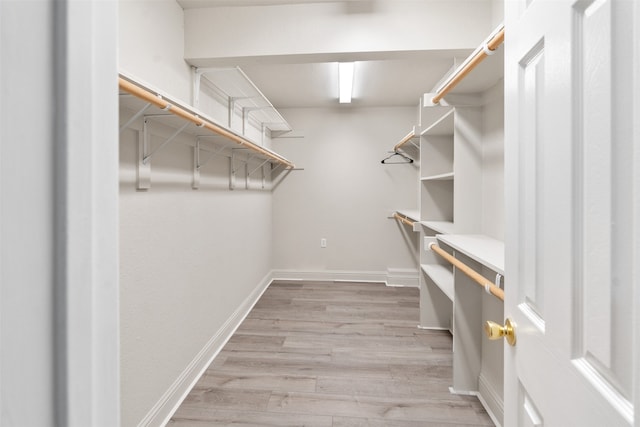 walk in closet featuring light hardwood / wood-style floors