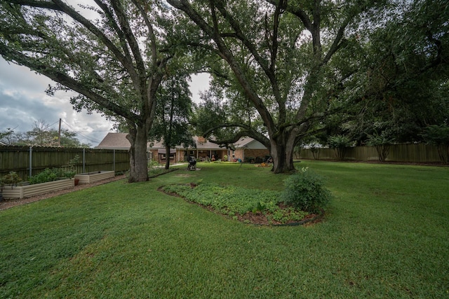 view of yard with a garden and a fenced backyard