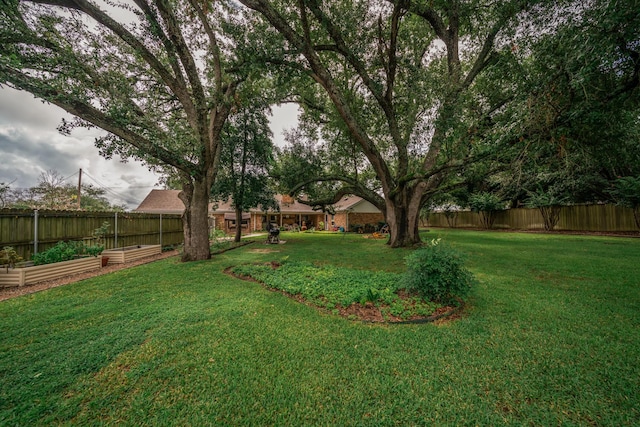 view of yard featuring a fenced backyard and a vegetable garden