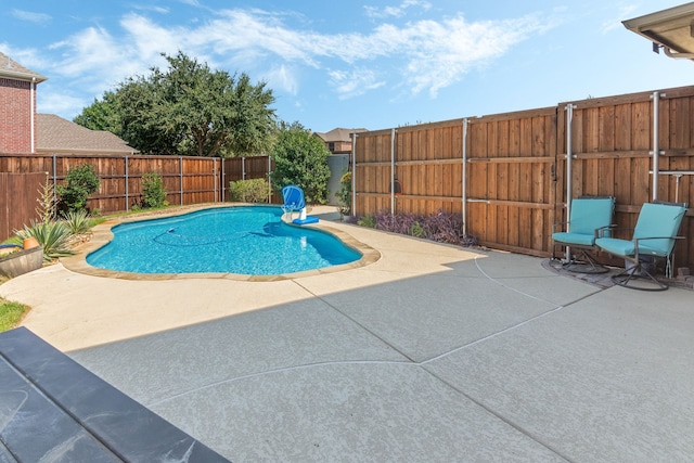 view of pool featuring a fenced backyard, a fenced in pool, and a patio