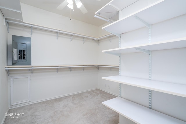 spacious closet featuring light carpet, electric panel, and ceiling fan