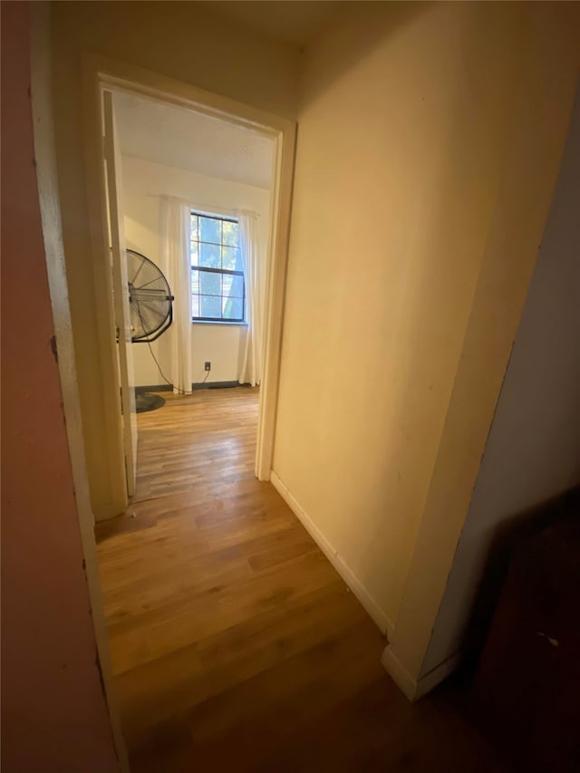 hall featuring light hardwood / wood-style floors