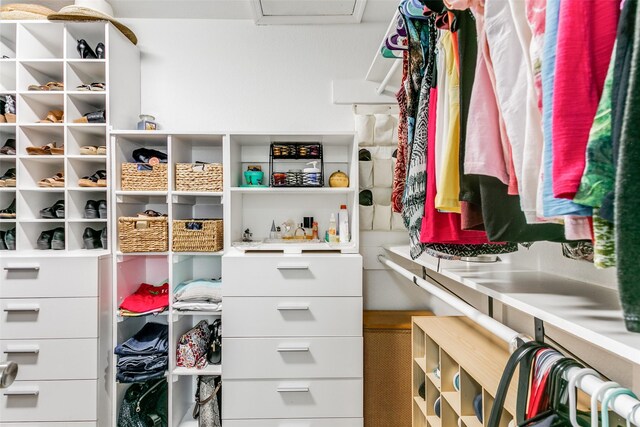 view of spacious closet