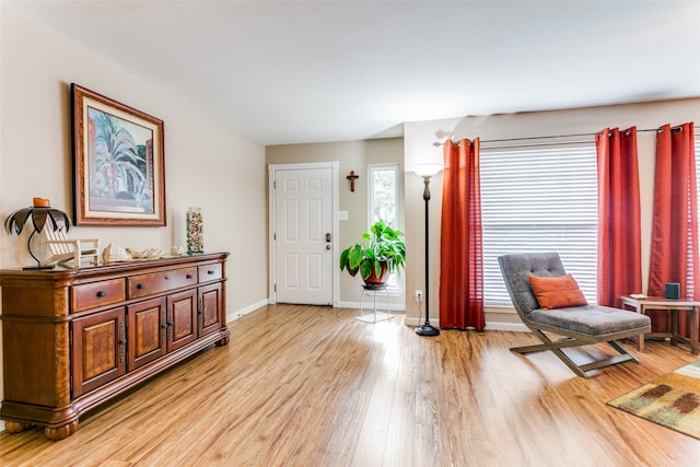 foyer entrance with light wood-type flooring