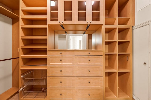 view of walk in closet