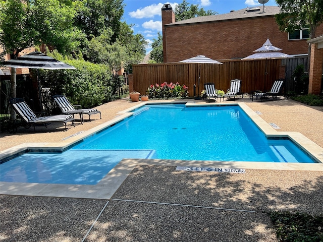 view of pool with a patio area