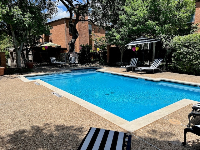 view of pool with a patio area