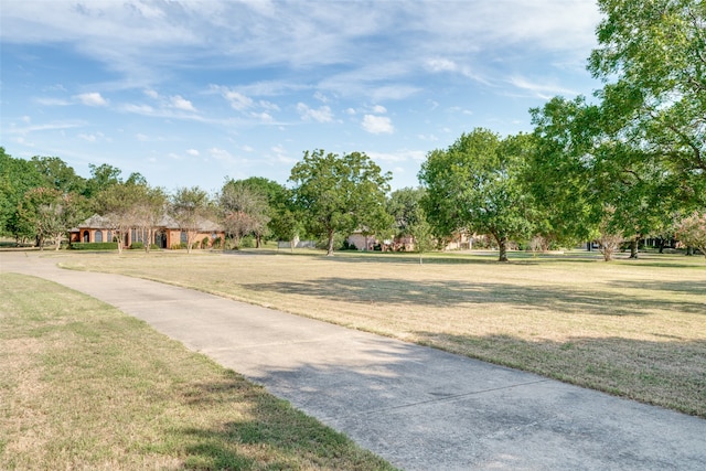 view of street with a yard