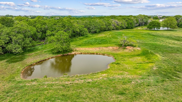 Listing photo 3 for TBD Dean Rd, Weatherford TX 76087