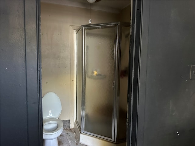 bathroom with walk in shower and toilet