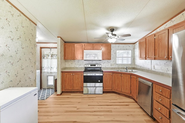 kitchen featuring ceiling fan, light wood-type flooring, stainless steel appliances, and sink