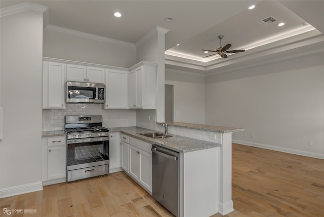 kitchen with sink, kitchen peninsula, light hardwood / wood-style flooring, stainless steel appliances, and ceiling fan