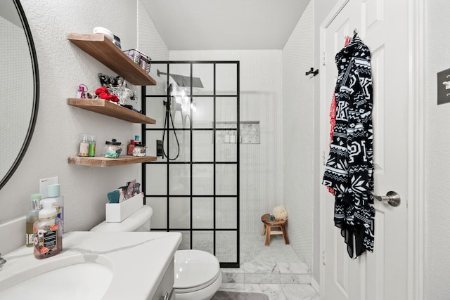 bathroom with toilet, vanity, and a tile shower