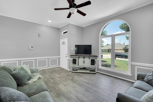 living area featuring ornamental molding, wainscoting, a textured ceiling, and wood finished floors