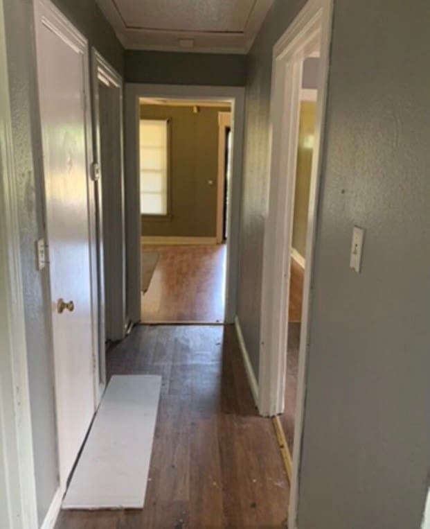 hallway featuring dark hardwood / wood-style flooring