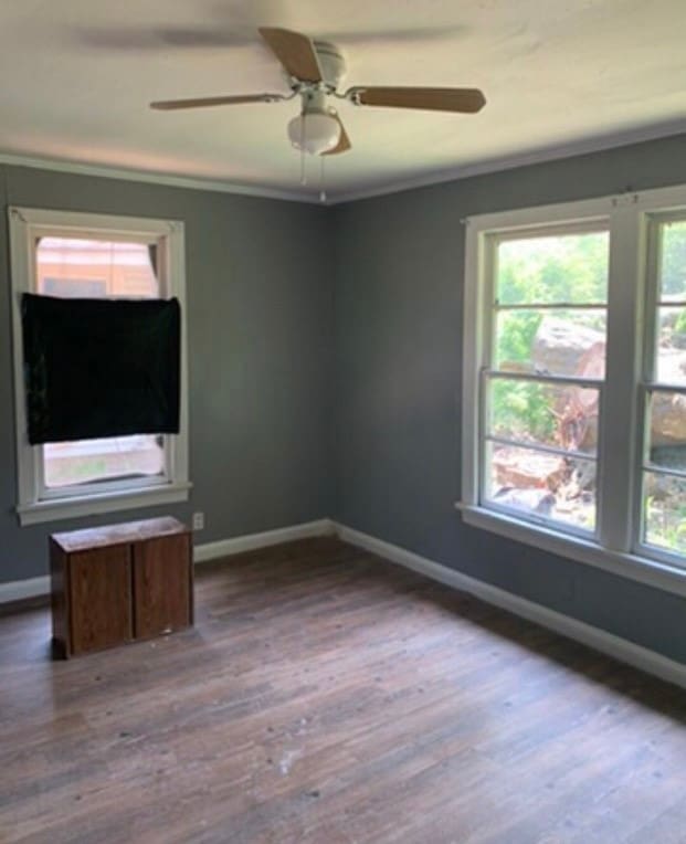 interior space featuring hardwood / wood-style floors, ceiling fan, and a healthy amount of sunlight