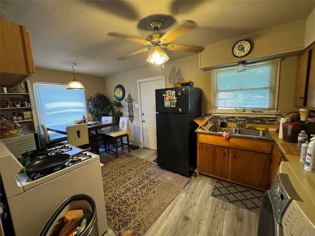 kitchen featuring light hardwood / wood-style flooring, ceiling fan, black refrigerator, sink, and white stove