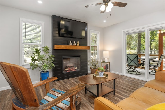 living room featuring ceiling fan, a large fireplace, and dark wood-type flooring