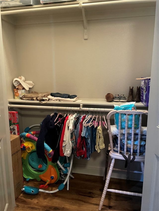 walk in closet with wood-type flooring