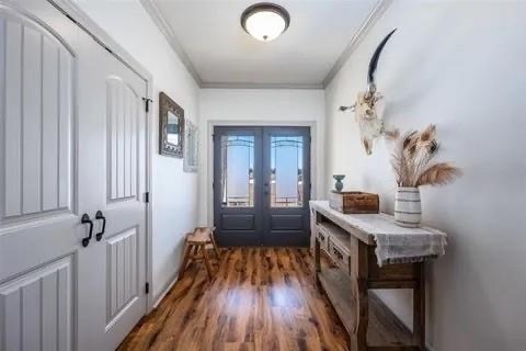 doorway featuring dark hardwood / wood-style floors, french doors, and crown molding