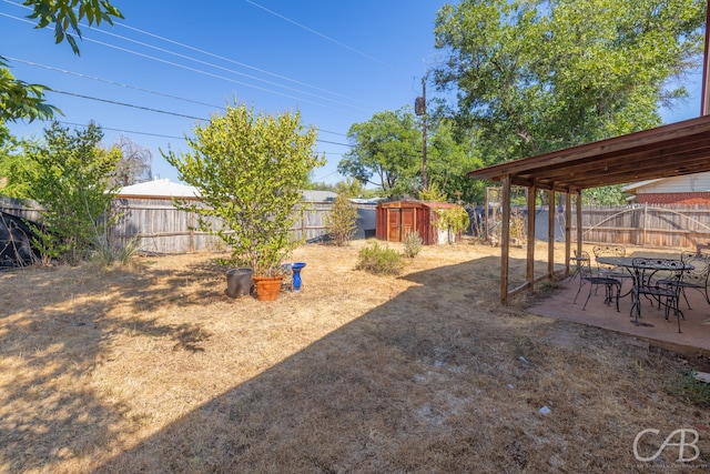 view of yard with a shed and a patio area