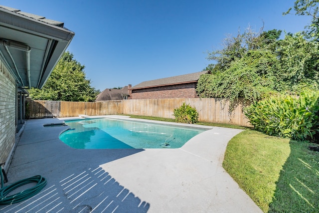 view of pool featuring a patio and a diving board