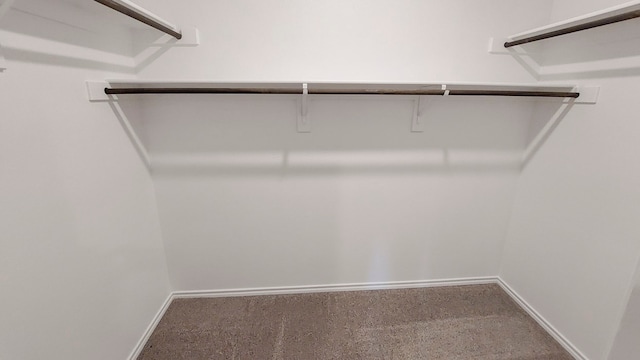 spacious closet with carpet floors