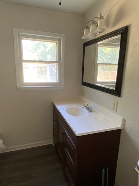 bathroom with vanity and wood-type flooring