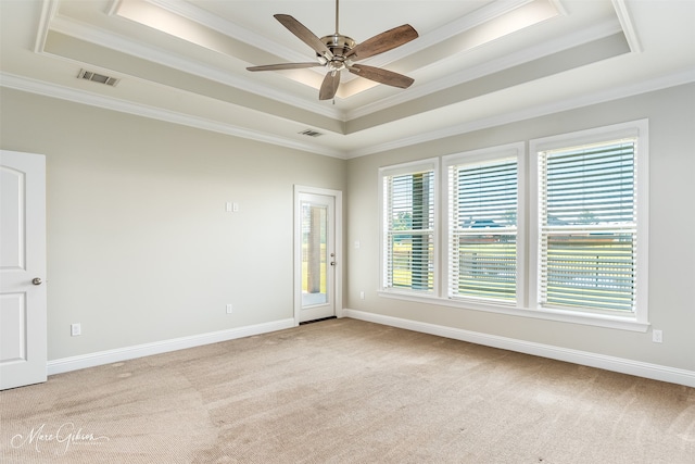 spare room featuring ornamental molding, ceiling fan, and a raised ceiling