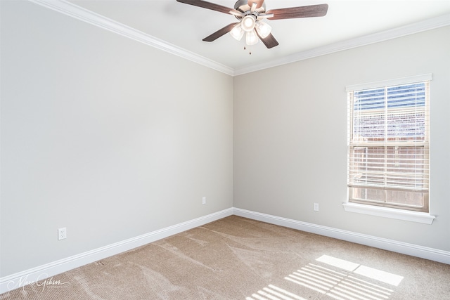 unfurnished room with ceiling fan, ornamental molding, and carpet