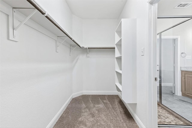 walk in closet with carpet floors