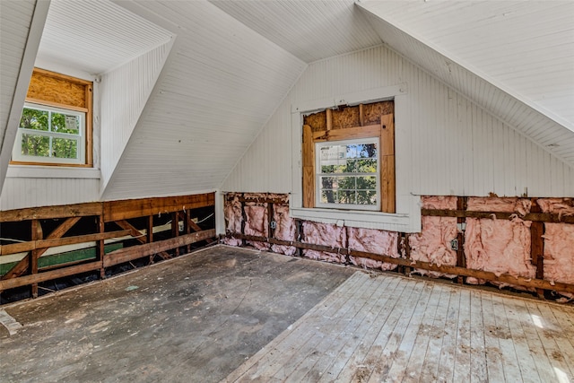 bonus room with a wealth of natural light and lofted ceiling