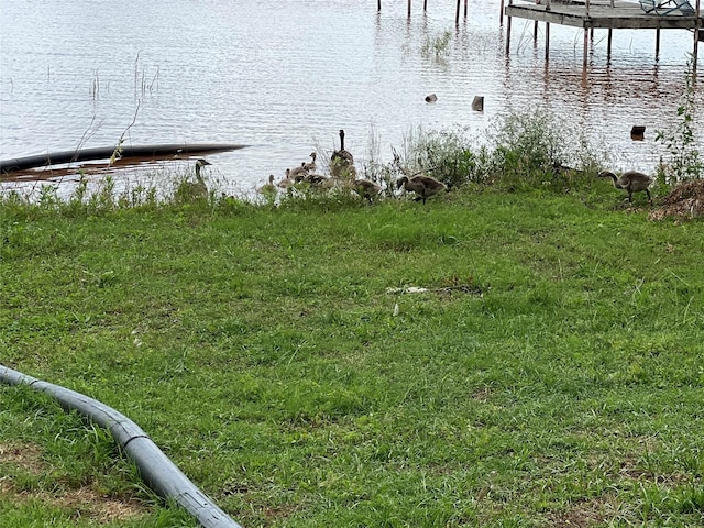 1001 Miller Shores Rd Unit 1, Henrietta, TX 76365 - dock with a water view