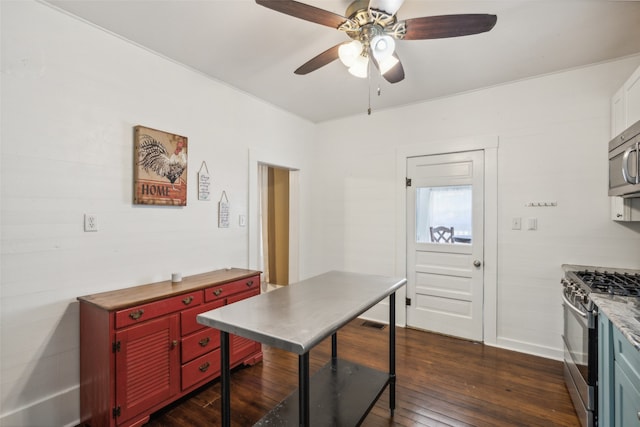 kitchen with dark hardwood / wood-style floors, stainless steel appliances, and ceiling fan