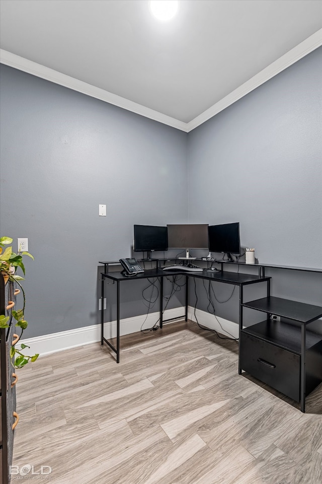 office with light hardwood / wood-style flooring and crown molding