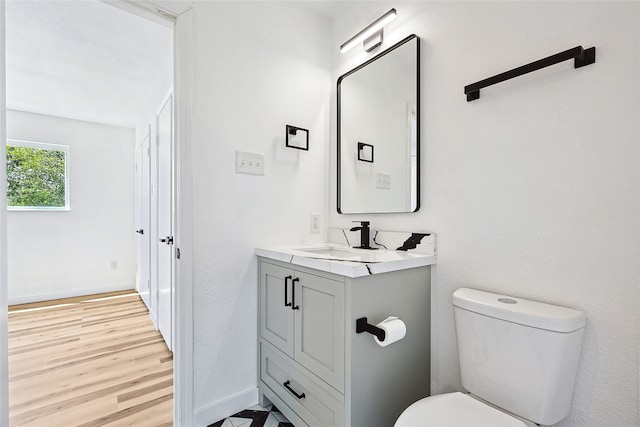 bathroom featuring vanity, toilet, and wood-type flooring