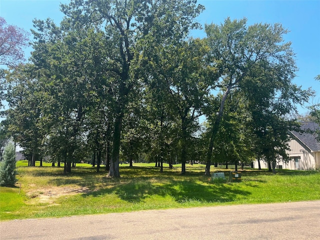 213 Saint Andrews Dr, Mabank TX, 75156 land for sale