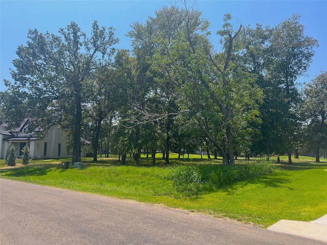 Listing photo 2 for 213 Saint Andrews Dr, Mabank TX 75156