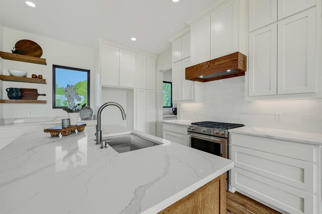 kitchen with white cabinets, light stone countertops, and sink