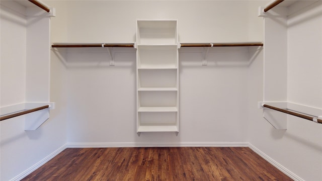 spacious closet featuring dark hardwood / wood-style flooring