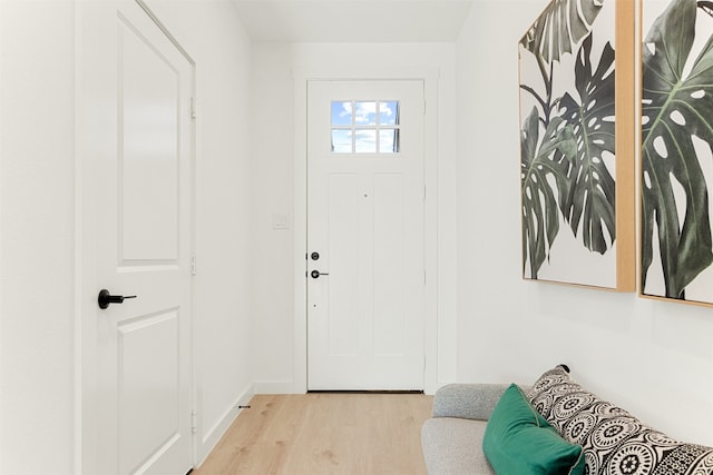 entrance foyer featuring light wood-type flooring