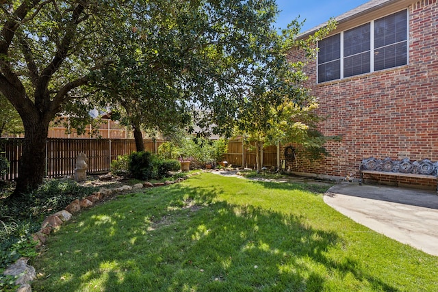 view of yard featuring a patio area