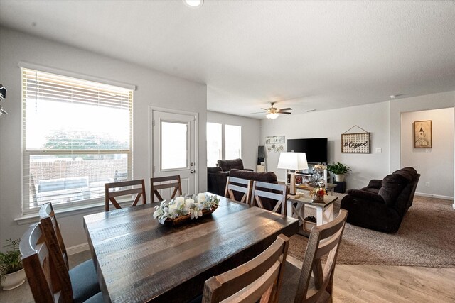 dining room with ceiling fan and light hardwood / wood-style flooring